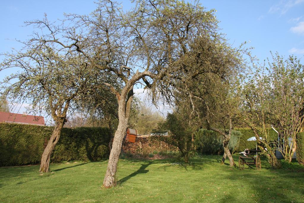 Lumassote Vakantiehuis Trois-Ponts